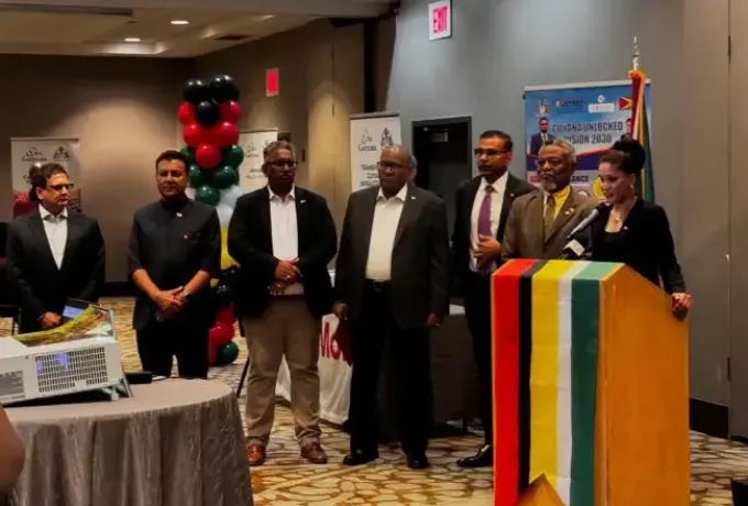 Private Sector and Diaspora